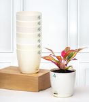 Nurturing Green® Combo of 8 Ivory Self Watering Plastic Pots with Glossy Finish | Low Maintenance Flower Pots for Indoor, Balcony & Garden Décor (Size: 4.5IN * 4.33IN) -[Plants are not Included]