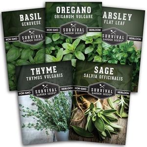 Survival Garden Seeds - Italian Herb Collection Seed Vault - Basil, Oregano, Thyme, Sage, Flat Leaf Parsley - Non-GMO Heirloom Varieties of Culinary & Medicinal Herbs for Any Garden or Homestead