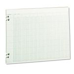 Wilson Jones WLJG3024 Green Columnar Ruled Ledger Paper, Double Page Format, 24 Columns and 36 Lines per Page, 11 x 14 Inches, 100 Sheets per Pack (WG30-24A)