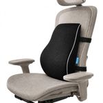 QUTOOL Lumbar Support Pillow for Office Chair, High-Density Memory Foam Back Cushion with Dual Adjustable Straps, Breathable 3D Mesh Cover, Ergonomic Back Support for Everyday Sitting