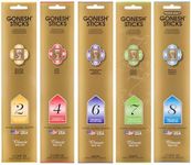 Gonesh - Classic Incense Sticks Variety Pack - Non-Toxic 10” Slow Burn Aromatic Sticks - No. 2, No. 4, No. 6. No. 8-5 Packs of 20 Sticks