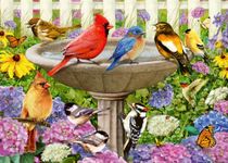 Ravensburger at The Birdbath 500 Piece Lrg FmtJigsaw Puzzle for Adults - Every Piece is Unique, Softclick Technology Means Pieces Fit Together Perfectly