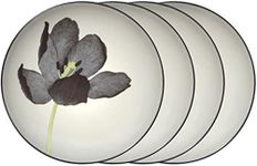 Noritake Colorwave Graphite Floral Black Velvet Tulip Accent Plates, Set of 4.,