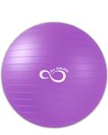 Exercise Ball -Professional Grade Exercise Equipment Anti Burst Tested with Hand Pump- Supports 2200lbs- Includes Workout Guide Access- 55cm/65cm/75cm/85cm Balance Balls (Purple, 65 cm)