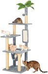 TSCOMON 55" Cat Tree for Indoor Cat