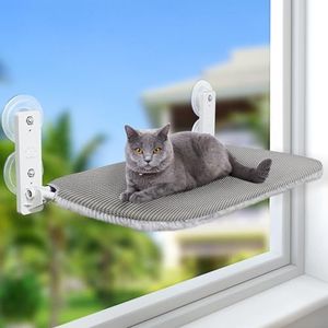 Sunhoo Cat