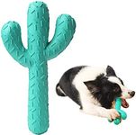 Acecy Dog Toys, Indestructible Cactus Chew Toy, Natural Rubber Milk Flavor, Puppy Teething Toys for Small Mediul Large Breed