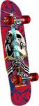 Powell Peralta Mini Ray Rodriguez S