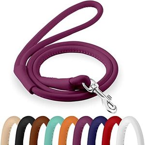 CollarDirect Rolled Leather Dog Leash 6ft, Soft Training Leather Dog Leash for Puppy and Grown Dog Small Medium Large Black Blue Red Orange Green Pink White (Pink, Size XL 6ft)