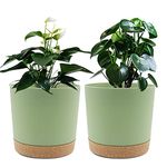 Plant Container Accessories