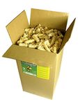 Feniks Firelighters 10kg (about 800-1000 pcs.) For Fireplace, Stoves, Barbecues and Campfires