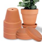 Terra Cotta Pots