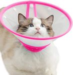 Cat Cone D