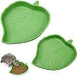 2 Pieces Leaf Reptile Food Water Bo