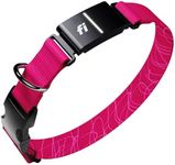 New Fi Series 3+ Smart Dog Collar -