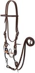 Weaver Leather Working Tack Bridle with Correction Mouth Bit, Golden Chestnut, 1 Count (Pack of 1)