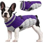 FUAMEY Dog Coat,Warm Dog Jacket Winter Coat Paded Dog Fleece Vest Reflective Dog Cold Weather Coats with Built in Harness Waterproof Windproof Dog Snow Jacket Clothes with Zipper Purple X-Small