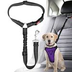 Dog Car Leash