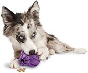 PetSafe Busy Buddy Barnacle - Dog Chew Toy - Treat Dispensing Dog Toys