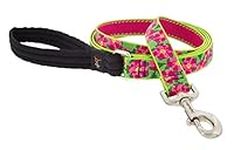 Lupine Dog Leash 6-Foot by 1" Wide 