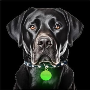 GLO-X Dog Collar Glow Tag - 2 x Glow in The Dark Dog Collar Glow Tags to Keep Your Dogs Safe at Night - 12+ Hours Glow Time - Charges in Daylight - No Batteries Required - Cool Dog Accessories Gift