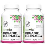 PlantVital Echinacea capsules 500mg Source of Vitamin C and Zinc Treatment for respiratory tract infections Helps relieve cold symptoms 240 capsules, Vegan, non-GMO. Made in Canada.