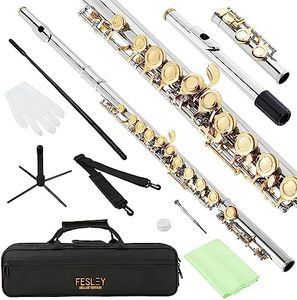 Fesley C Flutes Closed Hole, 16 Keys Flute Instrument, Student Flute for Beginners Kids, Beginner Flute with Cleaning Kit, Case, Stand, Joint Grease, Tuning Rod, Gloves, Nickel/Gold