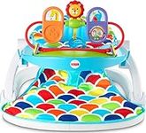 Fisher-Price Portable Baby Chair, D