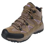 Northside Women's Snohomish Waterproof Hiking Boot, Tan/Periwinkle, 12