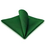 S&W SHLAX&WING Pocket Square for Men Solid Green Classic for Suit Handkerchief, Green, 12.6inchesx12.6inches Pocket Square