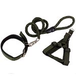 Pet Dog Leash Harness Collar Set, Heavy Duty Nylon Braided Leash No Pulling Choking Adjustable Vest Harness Soft Padded Collar Safety Leads for Small Medium Large Dog Puppy Training Walking Running