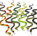 Kicko 12 Pack of 14 Inch Assorted Rubber Toy Snake - Soft Flexible Realistic Fake Floating Plastic Snakes - Colorful Bulk Small Sizes Set for Reptile School Collection, Birthday Party, Halloween Props