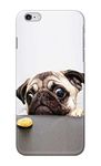 PRINTFIDAA Printed Hard Back Cover Case for Apple iPhone 6 | iPhone 6S Back Cover (Pug Dog) -2501