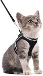 rabbitgoo Cat Harness and Leash Set