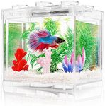 Oltraman Small Betta Fish Tank, Aqu