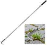 BARAYSTUS Crack Weeder, Stainless S