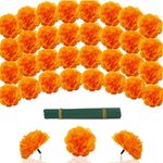 YGbridge Artificial Marigold Flowers Head, 60pcs Silk Orange Marigolds for Dia de los Muertos, Diwali Decor, Day of The Dead Decorations, Marigold Garland (60, Orange)