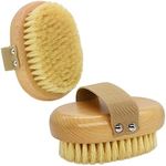 Casidoxi Soft Bristle Pet Brush - N