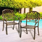 Livsip 2PCS Outdoor Chair with Cast