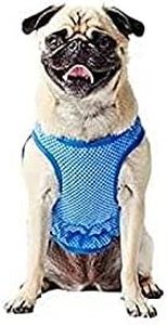 GF Pet 79g68542 Gilet rafraîchissant ELASTOFIT M 160 g