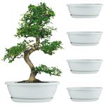 Livzing 15inch Pack of 5 Bonsai Plant Pot with Tray - Flower Pots with Drain Holes – Indoor Outdoor Virgin Planter Pot for Garden - Oval Shaped Grow Pots for Plants - White