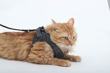 Large Cat Harness