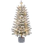 Yaheetech 3ft/94cm Pre-lit Potted Flocked Tabletop Christmas Tree, Mini Snowy Frosted Artificial Spruce Xmas Tree with 50 Warm White LED Lights and 355 PE Branch Tips for Home Porch Decor