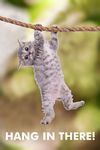 Hang in There! Cat Retro Motivational Poster 12x18 inch