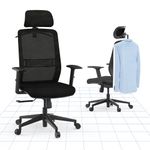 FLEXISPOT Ergonomic Office Chair, Desk Chair with Hanger, 2D Headrest and Lumbar Support, Lift Armrest, High Back Computer Chair, Executive Swivel chair, Task Chair with Wheels Black OC17 (black)