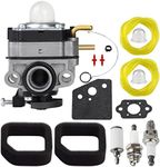 SIMPERAC 307160001 Carburetor for Ryobi RY252CS RY253SS RY251PH RY254BC 2 Cycle 25cc Trimmer Weed Eater Carburetor Replace for MTD 753-06258A