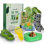 AvoSeedo Indoor Avocado Growing Kit with Avocado Slicer and Saver Set | Grow Avocado Tree Kit Gift Box with Avocado Multitool and Avocado Socks Inside | The Ideal Gift Choice for Anyone and Everyone