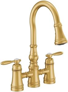 Moen Brush