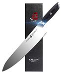 TUO Chef Knife 10 inch - Kitchen Chef Cooking Knife Japanese Gyuto Knife - German HC Steel with Pakkawood Handle - Falcon Series