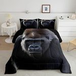 Erosebridal Monkey Bedding Set Twin Size Chimpanzee Comforter Set Ape Black Monkey Down Comforter Tropical Wildlife Animal 1 Pillow Case Quilted Duvet for Kids Boys Girls Teens